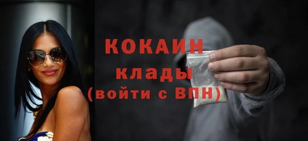 молекула духа Бородино