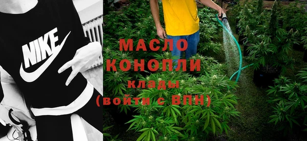 молекула духа Бородино