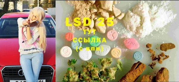 молекула духа Бородино