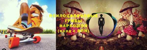 молекула духа Бородино