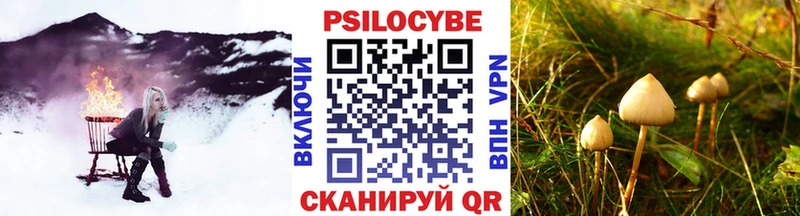 Галлюциногенные грибы Magic Shrooms  наркошоп  Новоульяновск 